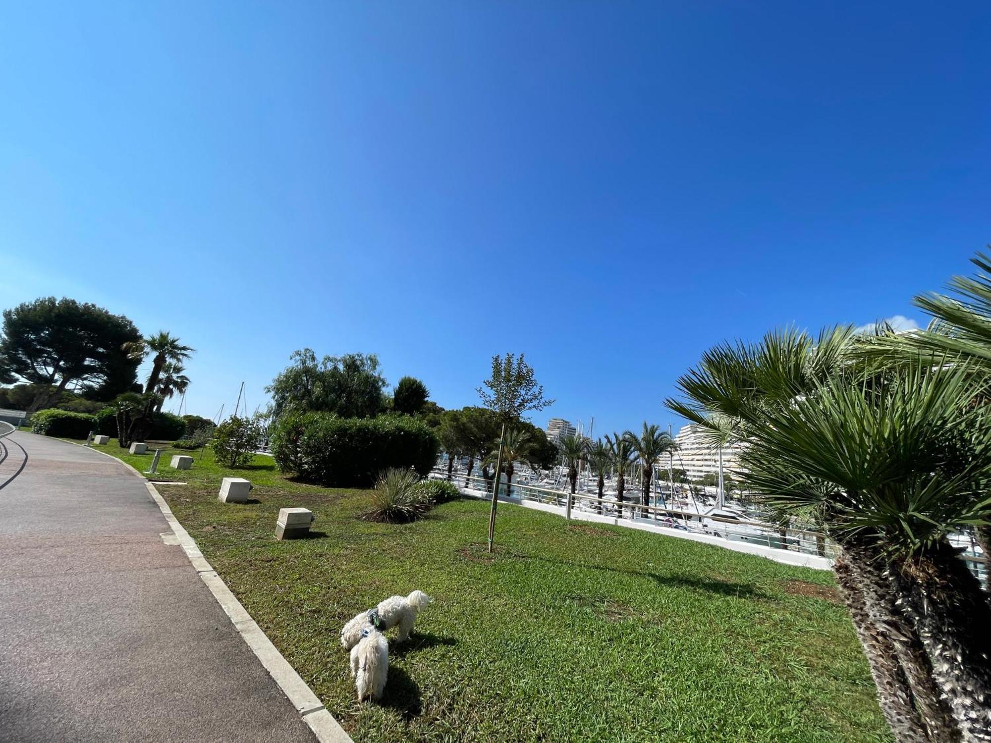 Studio A 2 Pas De La Plage วิลล์เนิฟ-ลูเบ ภายนอก รูปภาพ